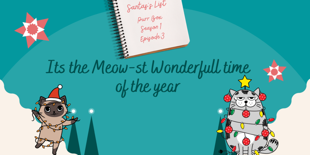 The Cat Box Subscription Claycat