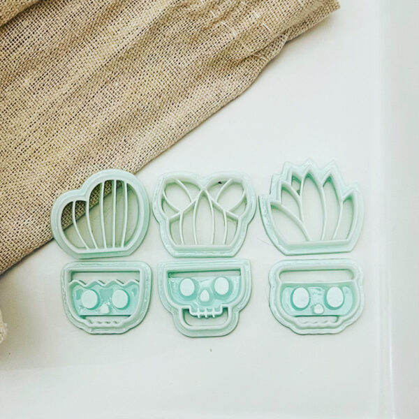 Scull Cactus Plants